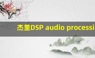 杰里DSP audio processing